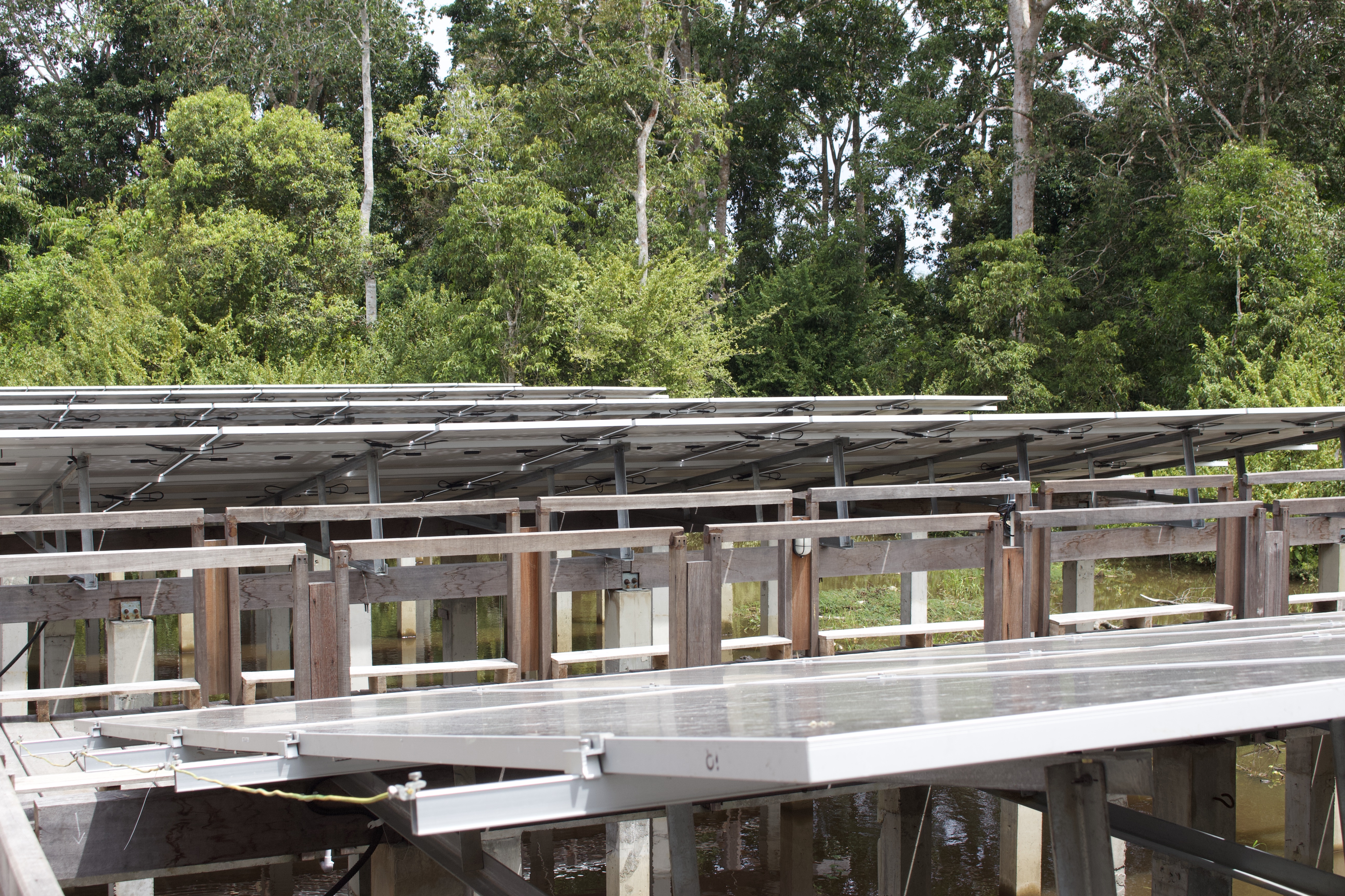 Powering Restoration: The Tampelas Solar Project Advancing the Katingan Mentaya Mission