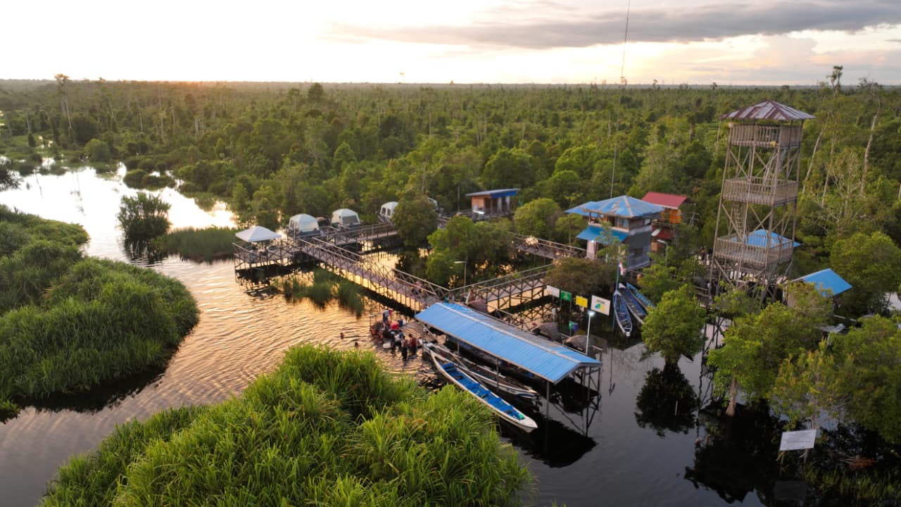 Katingan Mentaya Project returns to the global carbon market with approximately 20 million AA-rated credits